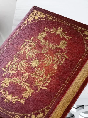 Шкатулка в виде книги Oengus 19X7X27 CM 9