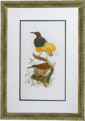 Комплект из двух постеров в раме Bird 50X70 / 50X70 CM 3
