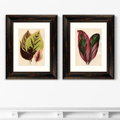 Диптих Botanical Leaf Dracaena 41X51 / 41X51 CM 5