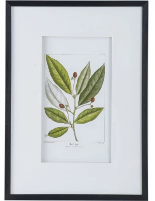 Комплект из двух постеров Flora 50X70 / 50X70 CM 3