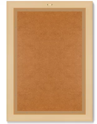 Диптих Antique plants drawn 51X71 / 51X71 CM 8