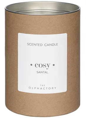 Свеча ароматическая The Olphactory Cosy Sandalwood 40 часов горения 3