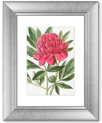 Диптих Peony 41X51 / 41X51 CM 3