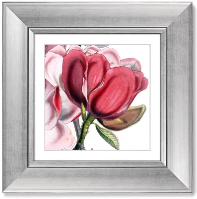 Четыре постера Himalaya Plants Pink-Flower 36X36 / 36X36 / 36X36 / 36X36 CM 6