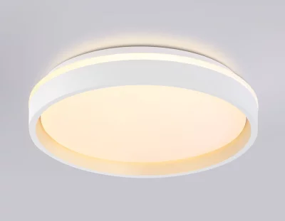 Накладной светильник Ambrella Light FZ601 14