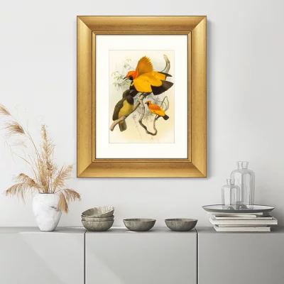 Постер Golden Birds of Paradise 41X51 CM 3