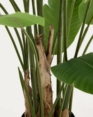 Искусственное банановое дерево в черном горшке Banano 100X100X210 CM 4
