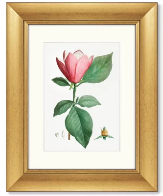 Диптих Lily magnolia & Pistaccia vera 41X51 / 41X51 CM 4