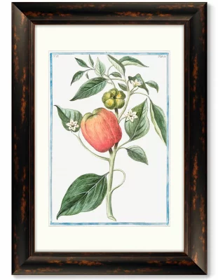 Диптих Flore pulchre rubente 51X71 / 51X71 CM 4