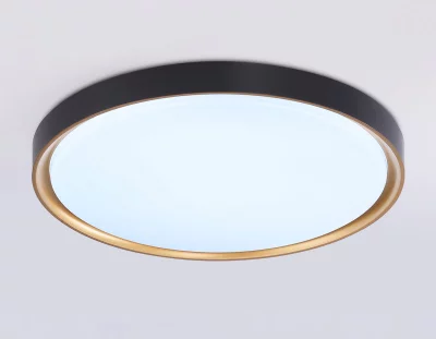 Накладной светильник Ambrella Light FZ1249 4