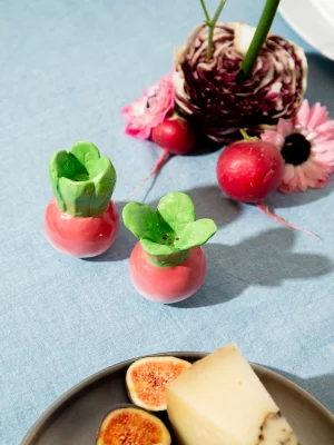 Набор из солонки и перечницы radish 6