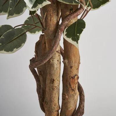 Искусственное растение Ficus 80X70X175 CM 4