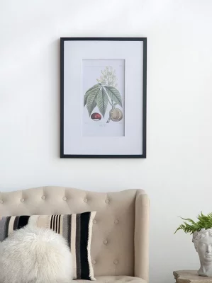 Комплект из двух постеров Flora 50X70 / 50X70 CM 18