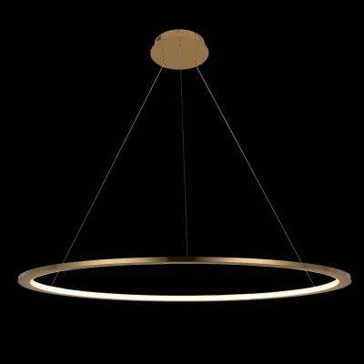 Подвесной светодиодный светильник Ring 80X80X120 CM 5