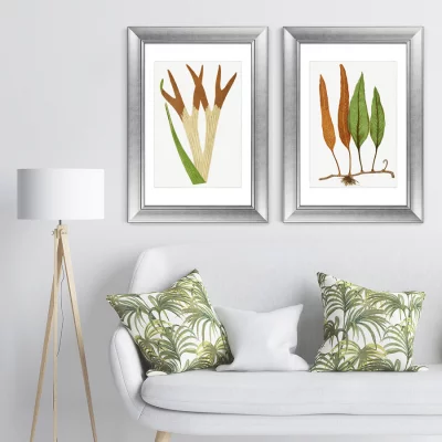 Диптих Platycerium Alcicorne 51X71 / 51X71 CM 5
