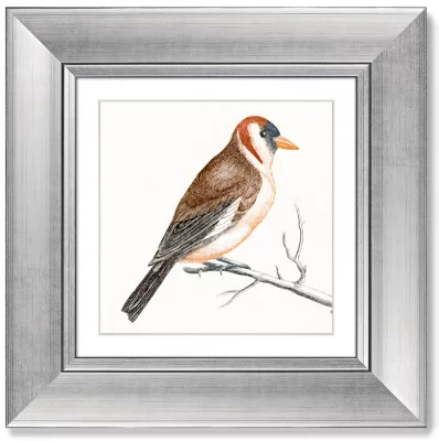 Диптих Goldfinches 36X36 / 36X36 CM 3