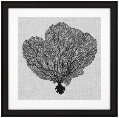 Постеры Shadow Sea Fans 62X62 / 62X62 / 62X62 / 62X62 CM 4