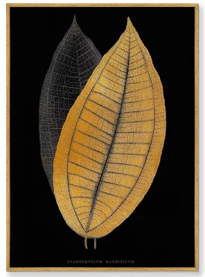 Постеры на холсте Two leaves 75X105 / 75X105 CM 3