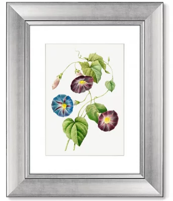 Диптих Antique plants drawn 41X51 / 41X51 CM 4