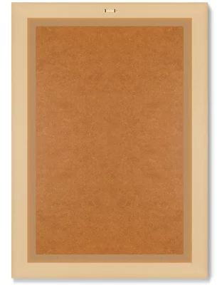 Диптих Platycerium Alcicorne 51X71 / 51X71 CM 8