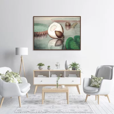 Постер Form of a gigantic water lily 105X75 CM 3