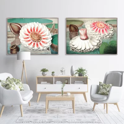 Постер Water lily during bloom 105X75 CM 7