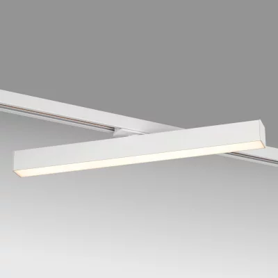 Светильник на шине Lightstar 202136 8