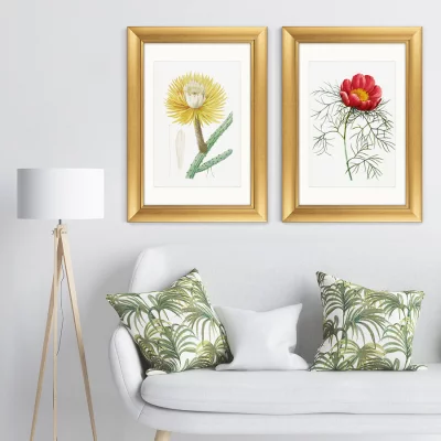 Диптих Antique plants drawn 51X71 / 51X71 CM 5