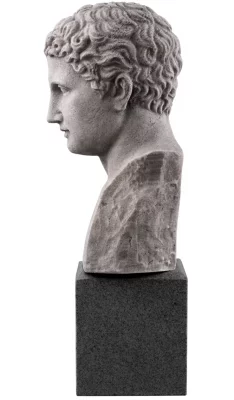 Статуя Bust Roman Imperial 19X15X49 CM 4