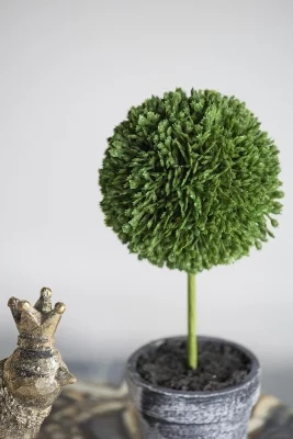 Декоративные растения Самшит, набор 3 предмета 27X9X24 CM 5