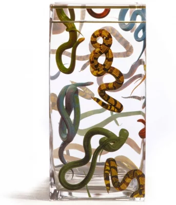 Стеклянная ваза Snakes 15X15X30 CM 4