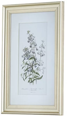 Постеры Wild flowers 42X62 / 60X80 / 42X62 CM 5