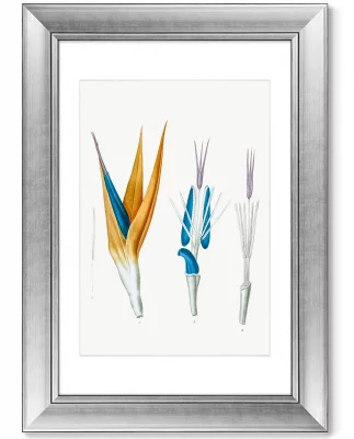 Диптих Les liliacées 51X71 / 51X71 CM 4