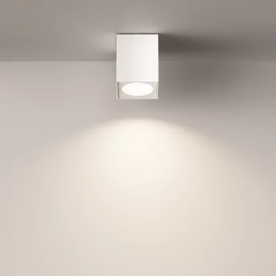 Накладной потолочный светильник Зум 9X9X11.5 CM 5