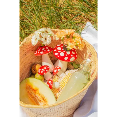 Ваза для цветов amanita, 19 см 3