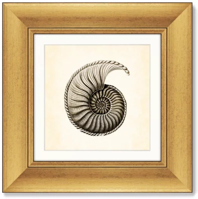 Диптих Marine life 36X36 / 36X36 CM 3