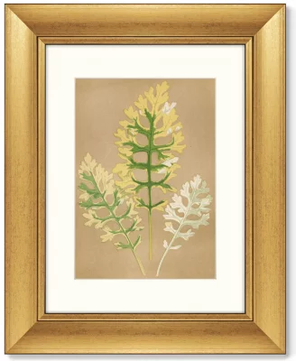Диптих Cineraria Maritima 41X51 / 41X51 CM 3