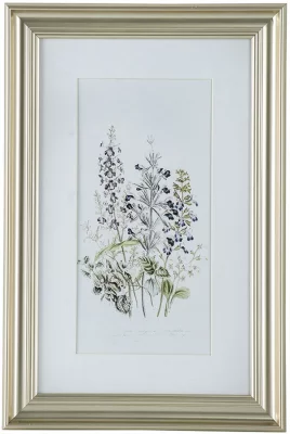 Постеры Wild flowers 42X62 / 60X80 / 42X62 CM 4