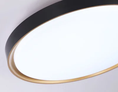 Накладной светильник Ambrella Light FZ1249 6