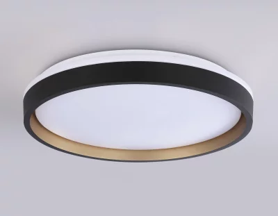 Накладной светильник Ambrella Light FZ610 8