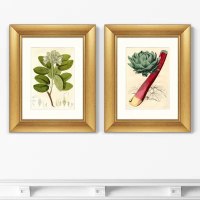Диптих British Botanic Book 41X51 / 41X51 CM 4