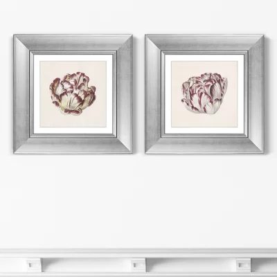 Диптих Tulp 36X36 / 36X36 CM 4