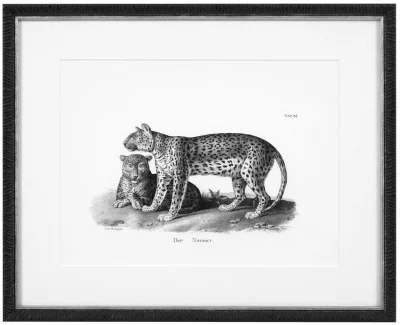 Постеры Historical Animals 54X44 / 54X44 / 54X44 / 54X44 / 54X44 / 54X44 CM 5