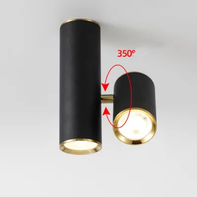 Спот Aim L2 5