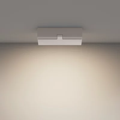 Потолочный светильник Базис поворотный 22X2.3X8.8 CM 7