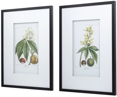 Комплект из двух постеров Flora 50X70 / 50X70 CM 13