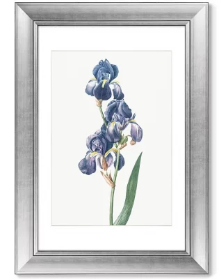 Диптих Dalmatian iris 51X71 / 51X71 CM 4
