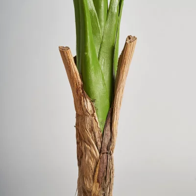 Искусственная растение Monstera 44X44X128 CM 3