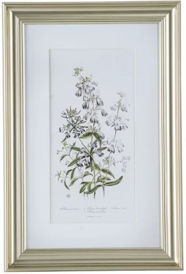 Постеры Wild flowers 42X62 / 60X80 / 42X62 CM 3