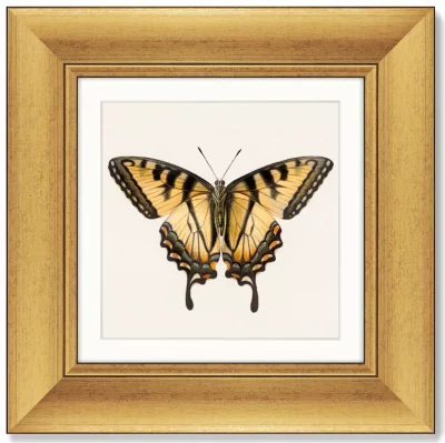 Диптих Two butterflies 36X36 / 36X36 CM 3